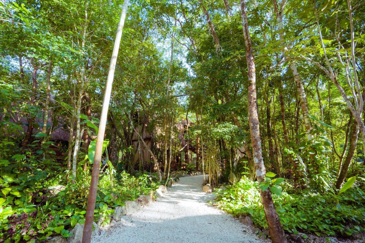 Madre Tierra Eco Habitat Pension Puerto Morelos Buitenkant foto