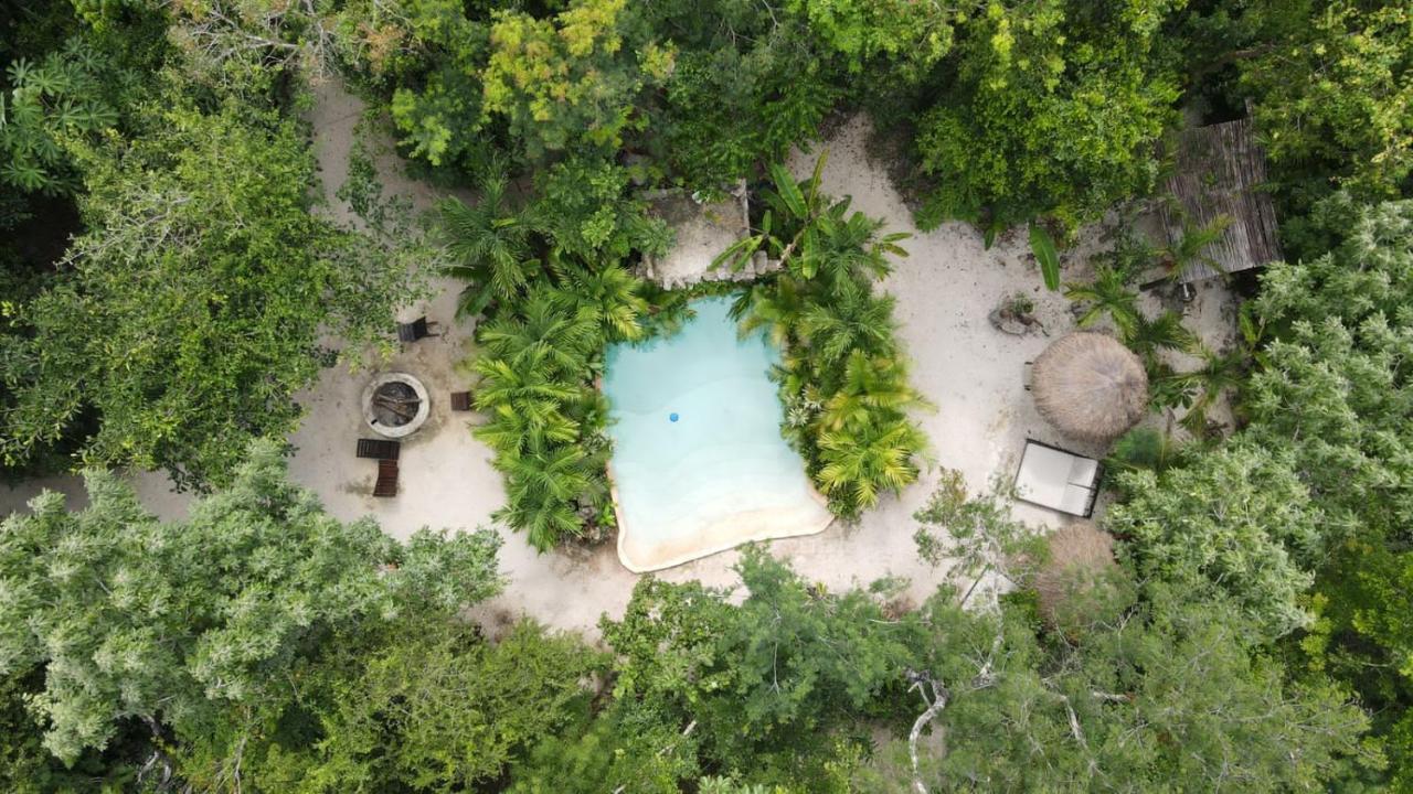 Madre Tierra Eco Habitat Pension Puerto Morelos Buitenkant foto