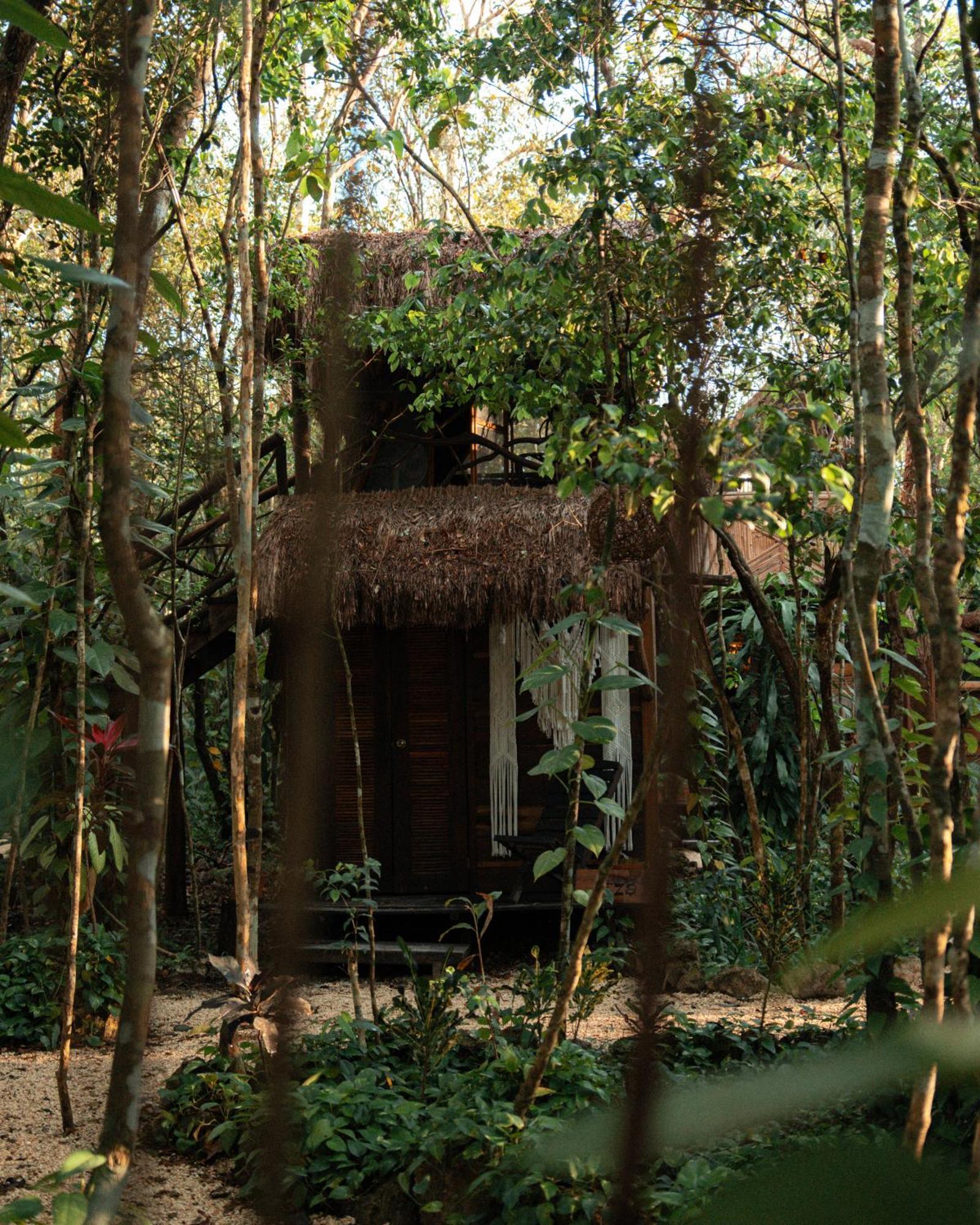 Madre Tierra Eco Habitat Pension Puerto Morelos Buitenkant foto