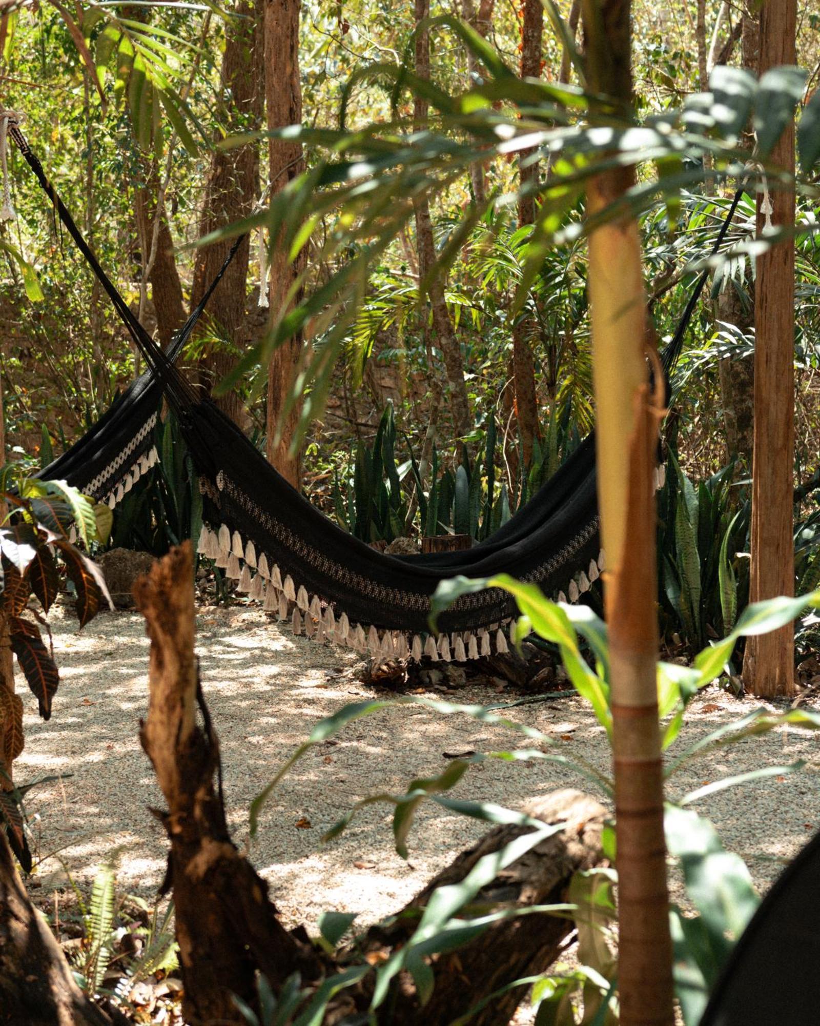 Madre Tierra Eco Habitat Pension Puerto Morelos Buitenkant foto
